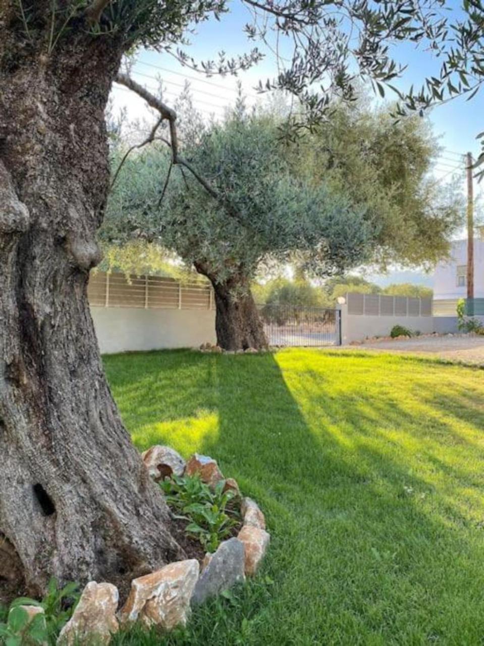 Sinoikismos Kambos Olives Villa מראה חיצוני תמונה
